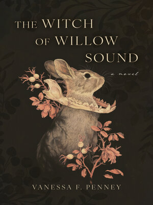 cover image of The Witch of Willow Sound